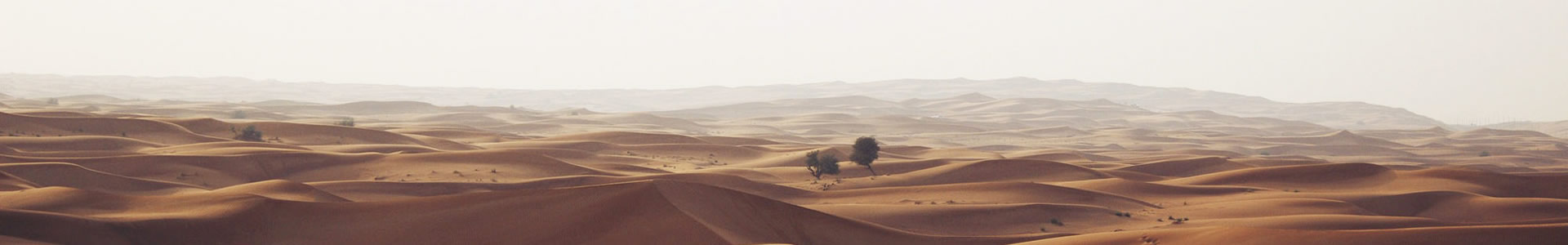 ˼ܻ޹˾